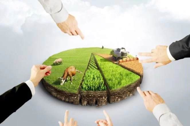 2025’te Arsa Yatırımlarının Trendleri: Geleceğin Fırsatları