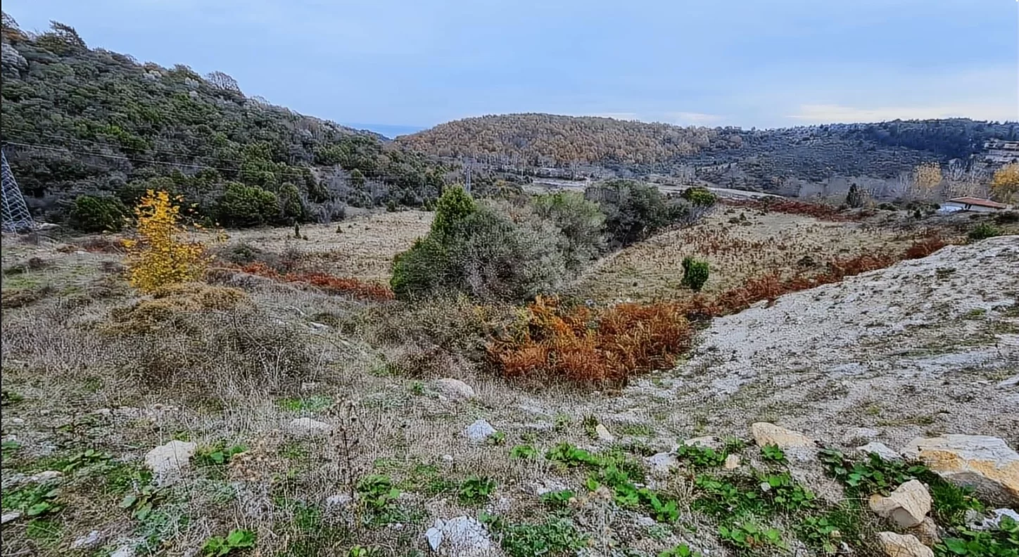 Şile Şuayipli'de Otobanın Yanında - Ağva'ya çok yakın tarla